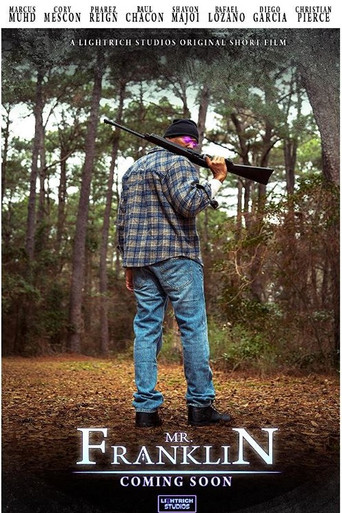 Mr. Franklin poster