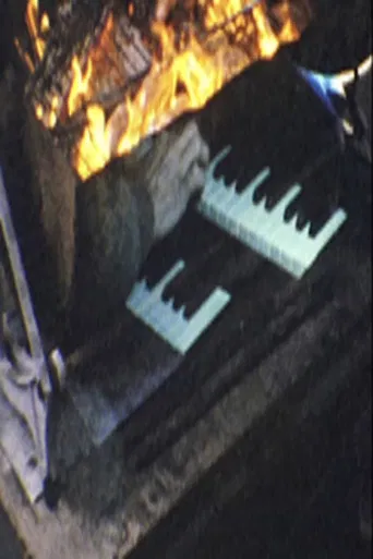 Film Diary #2 (No Nothing Cinema) poster