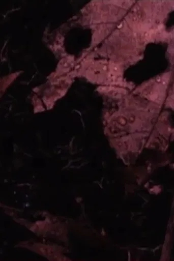 Ward’s Pond poster