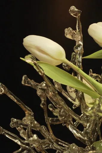 Civil Twilight at the Vernal Equinox poster