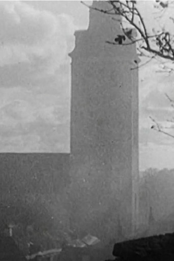 Reval and Dorpat poster