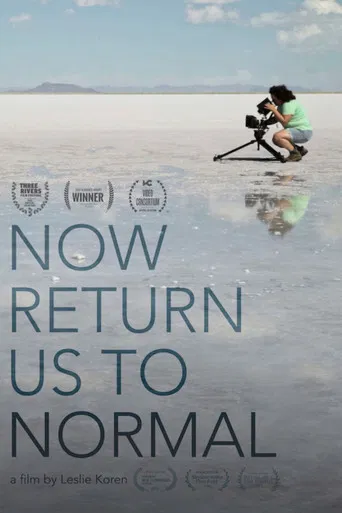 Now Return Us To Normal poster