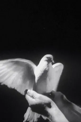 The Butterfly and the Candle Flame poster