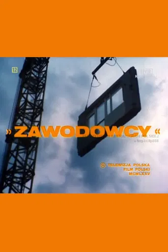 Zawodowcy poster