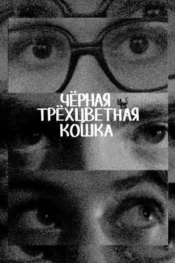 Black Tricolor Cat poster