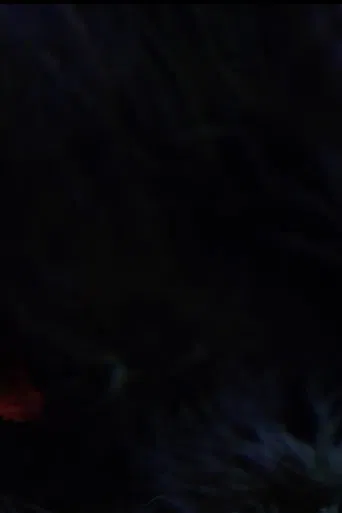 The Butterfly poster