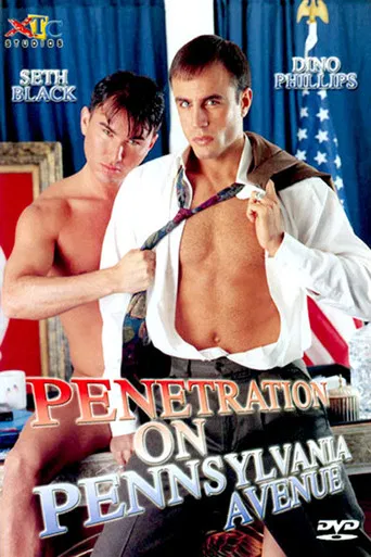 Penetration on Pennsylvania Avenue poster
