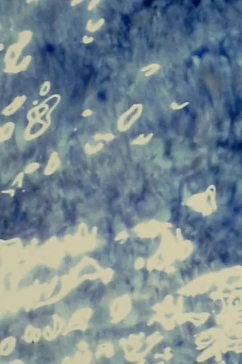 Ver piedras/Signos de sol poster