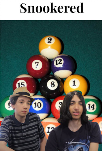 Snookered poster