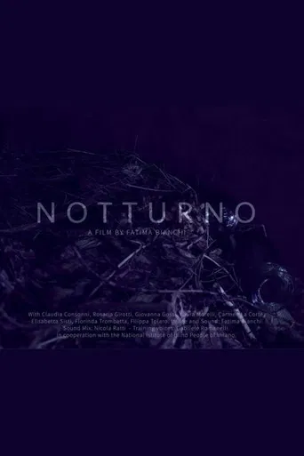 Notturno poster