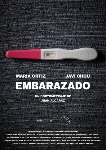 Embarazado poster