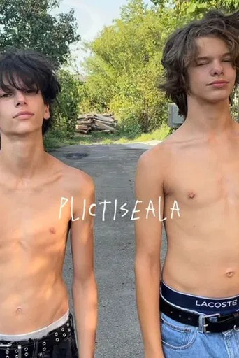 Plictiseala poster