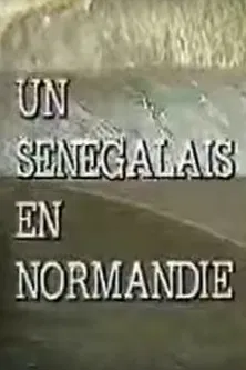 A Senegalese Man in Normandy poster