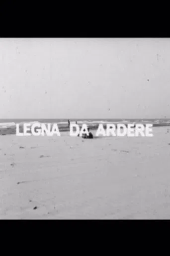 Legna da ardere poster