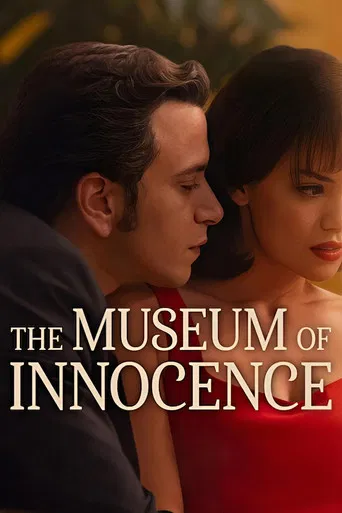 Museum of Innocence poster
