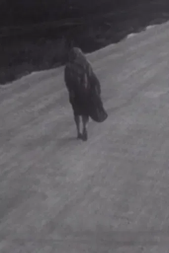 Man and Woman poster