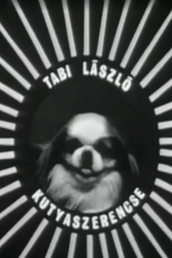 Kutyaszerencse poster