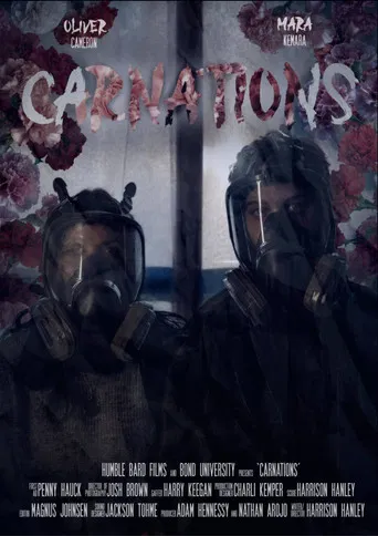 Carnations poster