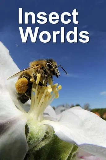 Insect Worlds poster