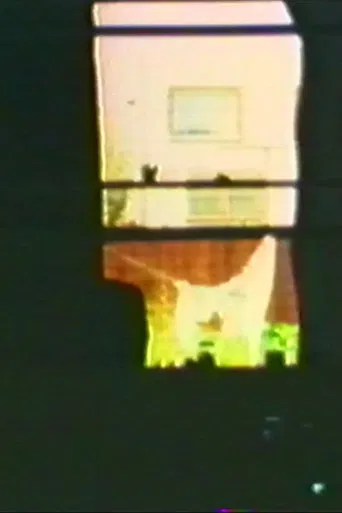 Audio and Visual Experiment 14 poster