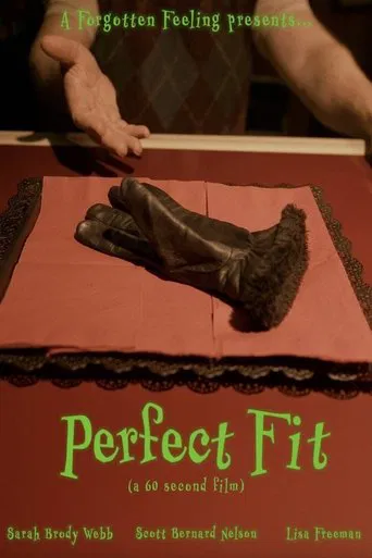 Perfect Fit poster
