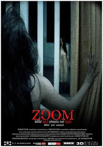 ZOOM poster