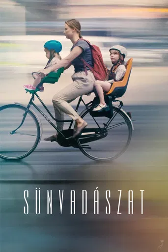 A Hunt For Hedgehogs poster