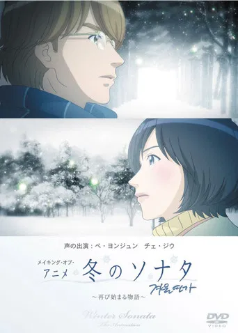 Winter Sonata poster