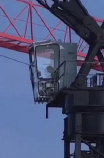 City of Cranes poster