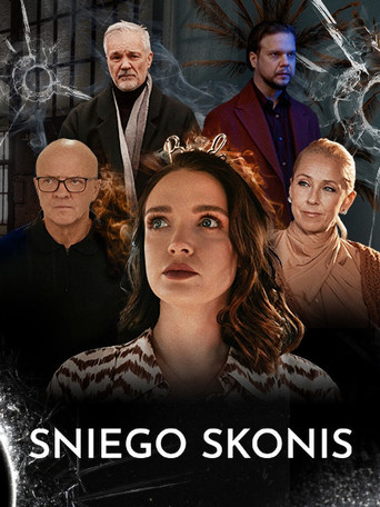 Sniego skonis poster