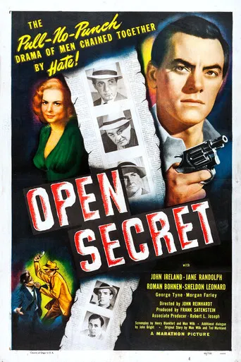 Open Secret poster