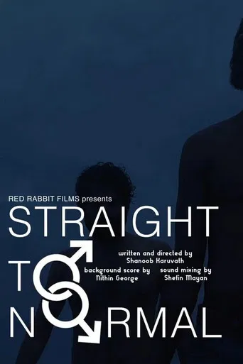 Straight to Normal poster