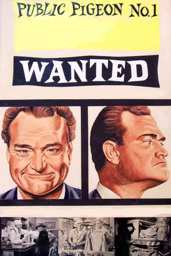 Public Pigeon No. 1 poster