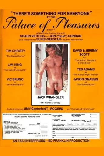 Palace of Pleasures poster
