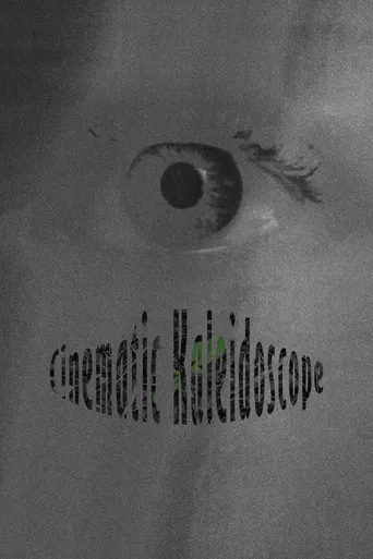 Cinematic Kaleidoscope poster