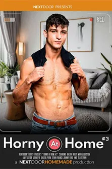 Horny at Home 3 poster