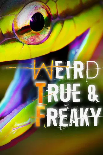 Weird, True & Freaky poster