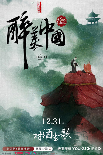 醉美中国 poster