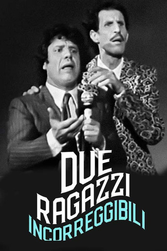 Due ragazzi incorreggibili poster