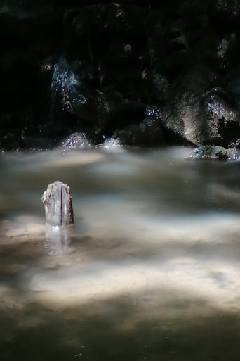 The Aqueduct of Seyssuel poster