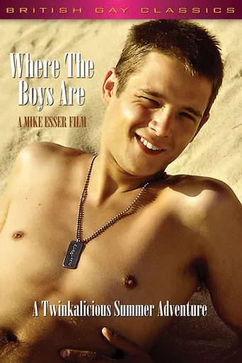 Where the Boys Are poster