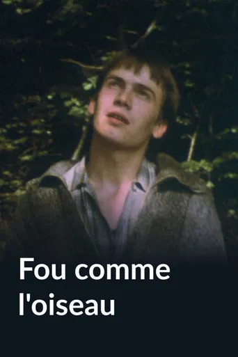 Fou comme l'oiseau poster