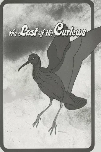 The Last of the Curlews poster