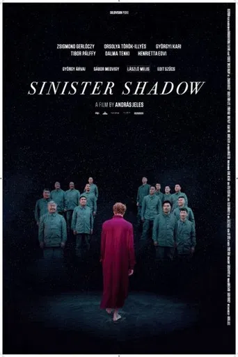 Sinister Shadow poster