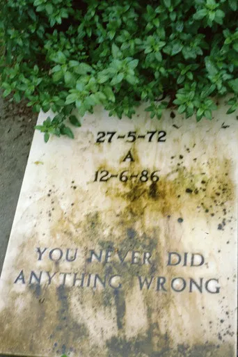 You never did anything wrong poster