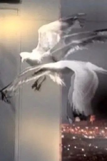 Entrer Dans Le Rêve poster