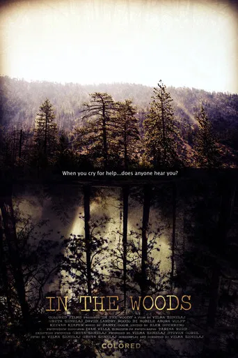 In the Woods poster