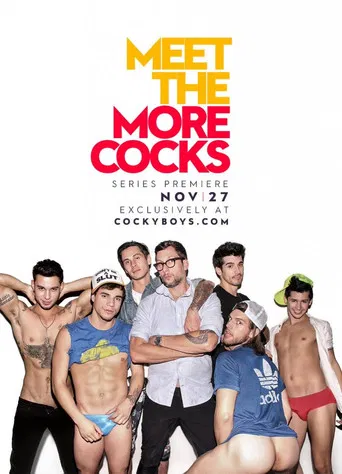 Meet the Morecocks poster