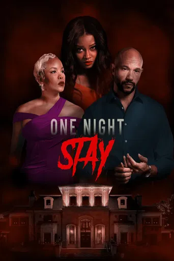 One Night Stay poster