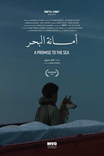 A Promise to the Sea poster